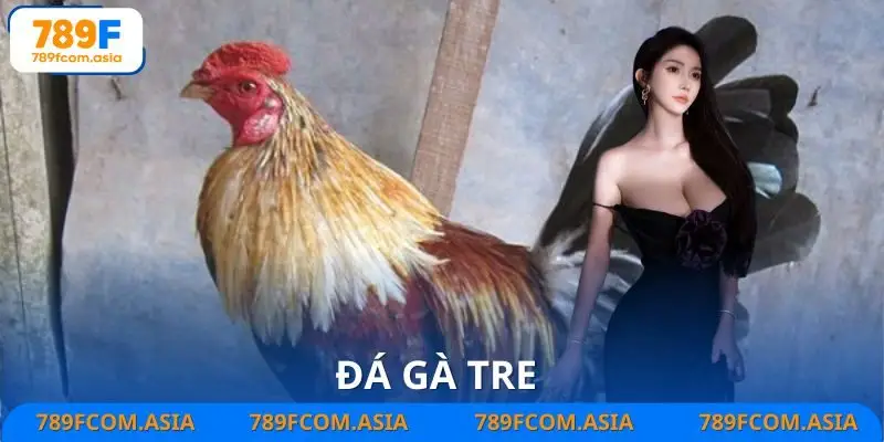 Đá Gà Tre