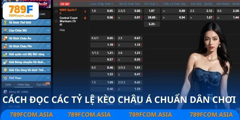Loại kèo Châu Á phổ biến và cách đọc tỷ lệ chính xác